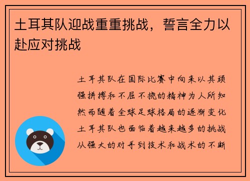 土耳其队迎战重重挑战，誓言全力以赴应对挑战